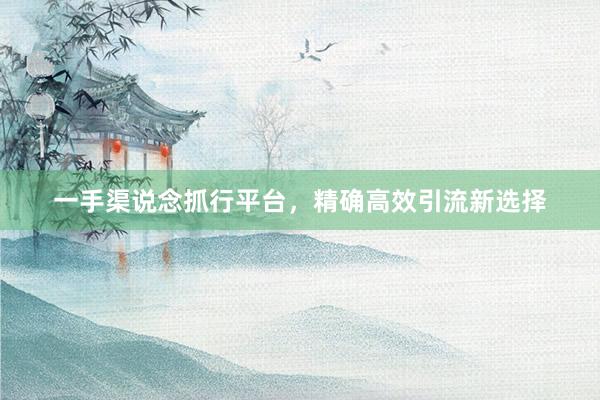 一手渠说念抓行平台，精确高效引流新选择