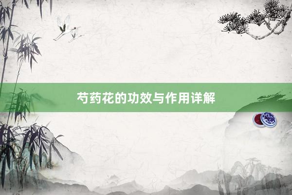 芍药花的功效与作用详解