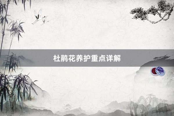 杜鹃花养护重点详解