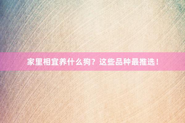家里相宜养什么狗？这些品种最推选！
