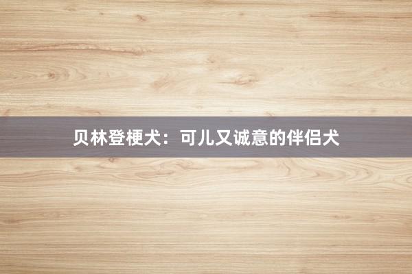 贝林登梗犬:可儿又诚意的伴侣犬