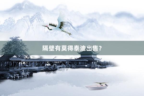 隔壁有莫得泰迪出售?