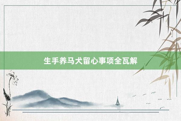 生手养马犬留心事项全瓦解