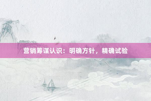 营销筹谋认识：明确方针，精确试验